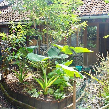 تْشانغو Farmer'S Yard Hostel المظهر الخارجي الصورة